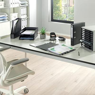 Ordner Leitz 1015 180° 52mm PP A4 grijs | 20 stuks