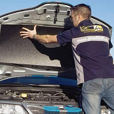 Sinuslive DSM Geluidsisolatie (l x b x h) 1000 x 500 x 11 mm 1 paar