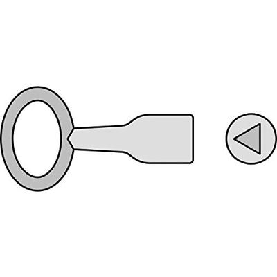 Basi 301D-10 Doornsleutel Zilver