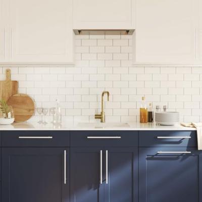 Handvatten 10 st 224 mm roestvrij staal zilverkleurig