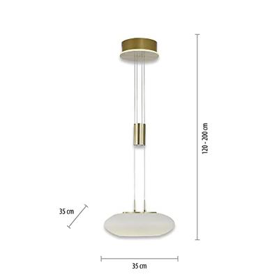 Paul Neuhaus Design hanglampQ-Etienne messing - 2075-60