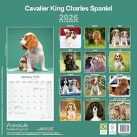 Cavalier King Charles Spaniel Kalender 2026 - thumbnail