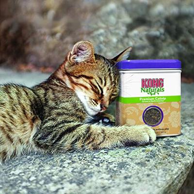 KONG NATURALS CATNIP KATTENKRUID 60 GR