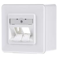Metz Connect 130B10D20002-E Netwerkdoos Opbouw (op muur) Zonder connectoren 2 poorten Zuiver wit - thumbnail