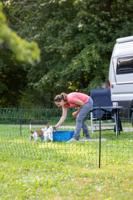 AKO Producten/ campingnet 20meter 80cm groen dubbele pen - thumbnail