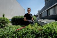 Metabo HS 18 LTX BL 65 Heggenschaar Accu Zonder accu, Zonder lader 18 V 650 mm - thumbnail