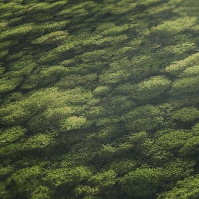 AS Creation PintWalls II - Groen - Bloemrijk - 394051