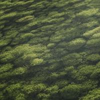 AS Creation PintWalls II - Groen - Bloemrijk - 394051 - thumbnail