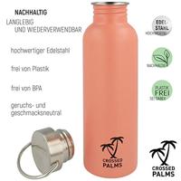 Westcott AC-CP10000 Fles Crossed Palms RVS Koraal 750ml - thumbnail
