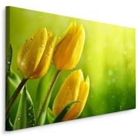 Schilderij - Gele tulpen groene achtergrond, premium print - thumbnail