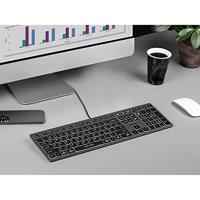 A4Tech FSTYLER FX60H (White Backlit) toetsenbord USB QWERTY Zwart, Grijs - thumbnail