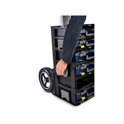 Raaco CarryMore 55x2 zwart 2x CarryLite 55 4x8-16 - 146395 146395