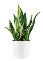 Elho brussels diamond round 20 white - thumbnail