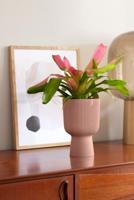 Vibes Fold Coupe dia 14 cm bloempot delicaat roze elho - Elho - thumbnail