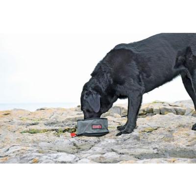 KONG OPVOUWBARE DRINK-/VOERBAK 2 LTR