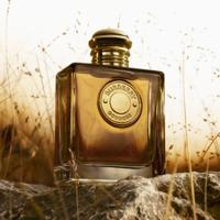 Burberry Goddess Parfum 100ml - thumbnail