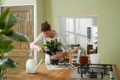 Elho self-watering insert 24 living black - thumbnail