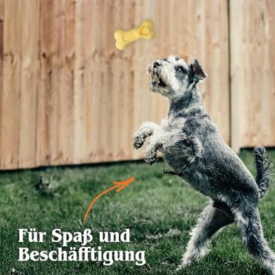 Moodies Joyful Lee (Happy) Moodies Joyful Lee (Happy)