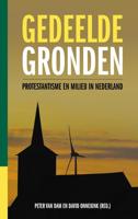 Gedeelde gronden - Peter van Dam, David Onnekink - ebook - thumbnail