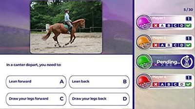 Equestrian Training Equestrian Training