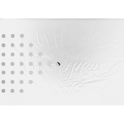 Kweekfolie universeel zilver/zwart 0.95 x 5 m