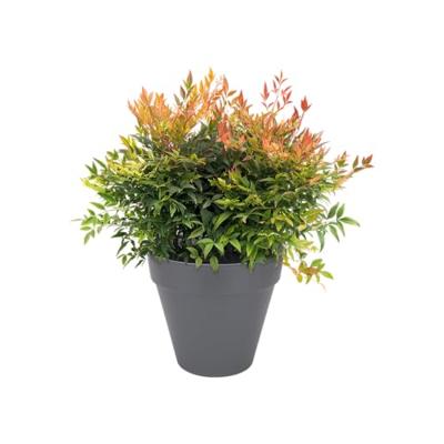 Elho Loft Urban Rond Antraciet Ø39cm met wielen - thumbnail