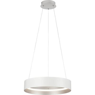 LED Hanglamp - Musterring Loop - 1 Lichtpunt van 38 Watt - Dimbaar - Aanpasbare Lichtkleur - Hoogte Aanpasbaar - Geheugenfunctie - Nachtlamp - Afstandsbediening - Mat Wit - Metaal