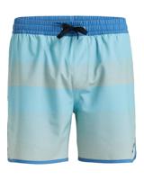 Quicksilver Surfsilk Scallop 16" Zwembroek - thumbnail