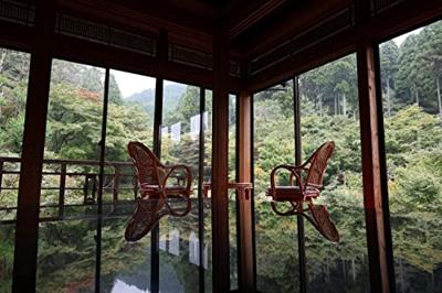 Canon RF 24-50mm F/4.5-6.3 IS STM