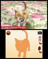 Nintendogs + Cats Retriever - thumbnail