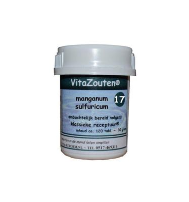 Vitazouten Nr. 17 Manganum Sulfuricum 120st