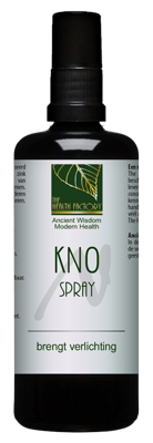 The Health Factory - KNO spray with Zinc and Silver 100 ml