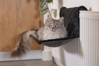 Beeztees Radiatorhangmat Sleepy Zwart - thumbnail