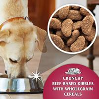 DR JOHN Silver Beef - droog hondenvoer - 15kg - thumbnail