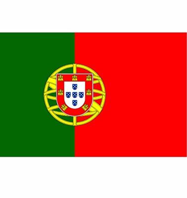 Vlag Portugal - 90x150 cm