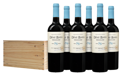 Bodegas Diaz Bayo 8 Meses Ribera del Duero Kist