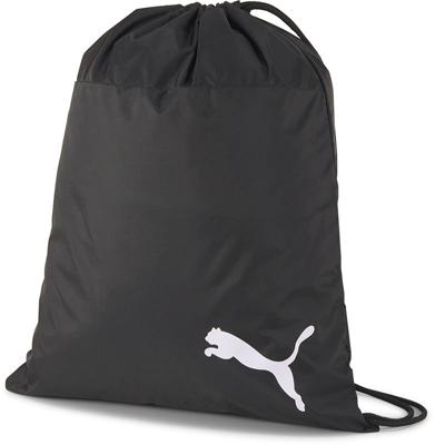 Puma Teamgoal 23 Gymtas