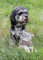 CUPID & COMET REBEL RENDIER MET KNUFFELDOEKJE - thumbnail