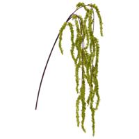 Amaranthus Kunst Hangtak 70cm groen - thumbnail