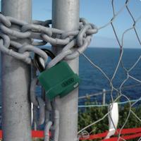 Abus hangslot 70al/45 grn - thumbnail