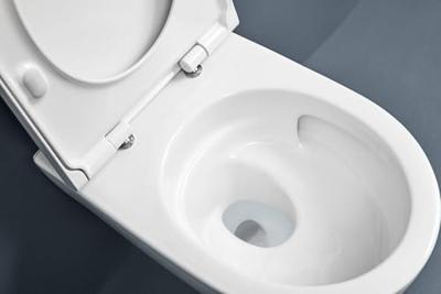 Geberit iCon Wandclosetset - 53x35cm - diepspoel - rimless - TurboFlush - KeraTect - softclose en quickrelease zitting - glans wit 503.045.00.8 - thumbnail