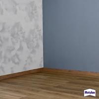 Behangverwijderaar Metylan - thumbnail