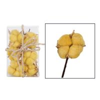 Katoen 6 stuks in blister 14x9x5cm - thumbnail