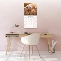 Varken Kalender 2026 - thumbnail
