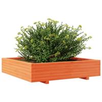 VidaXL Plantenbak 110x110x26,5 cm massief grenenhout wasbruin - thumbnail