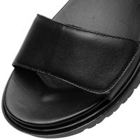 Ara 1233518 - alle - thumbnail