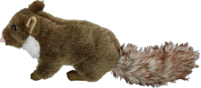 Wild Life Dog Marter