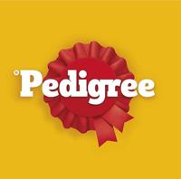 Pedigree Dentastix Maxi Kauwstaaf Gebitsverzorgende Hondensnack 4 Stuks bij Jumbo - thumbnail