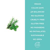 Petal Fresh Conditioner Volumizing Rosemary & Mint - thumbnail