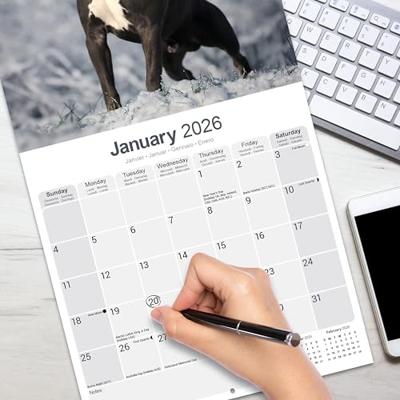 American Staffordshire Terrier Kalender 2026